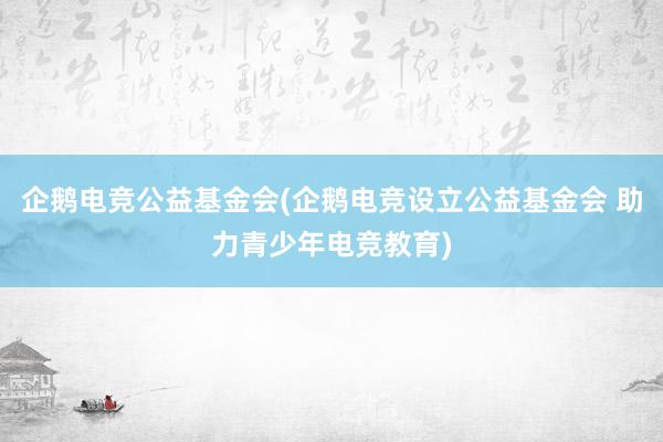 企鹅电竞公益基金会(企鹅电竞设立公益基金会 助力青少年电竞教育)