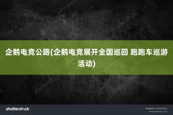 企鹅电竞公路(企鹅电竞展开全国巡回 跑跑车巡游活动)