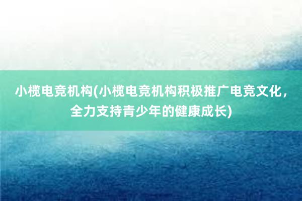 小榄电竞机构(小榄电竞机构积极推广电竞文化，全力支持青少年的健康成长)