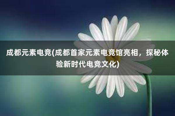 成都元素电竞(成都首家元素电竞馆亮相，探秘体验新时代电竞文化)