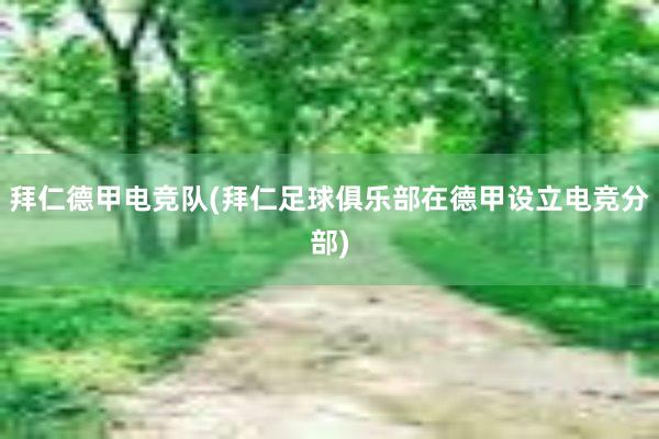 拜仁德甲电竞队(拜仁足球俱乐部在德甲设立电竞分部)