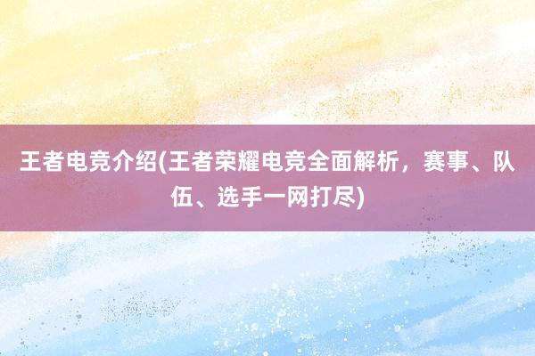 王者电竞介绍(王者荣耀电竞全面解析，赛事、队伍、选手一网打尽)