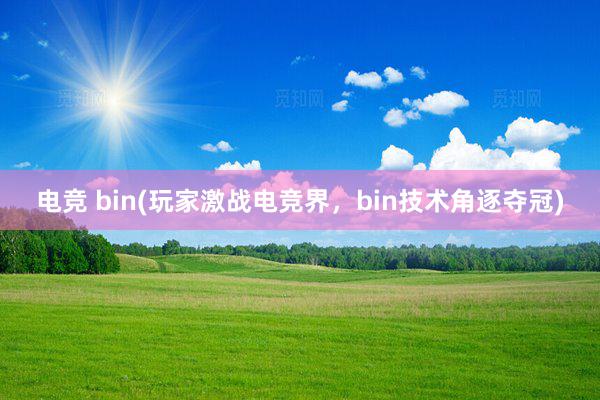 电竞 bin(玩家激战电竞界，bin技术角逐夺冠)