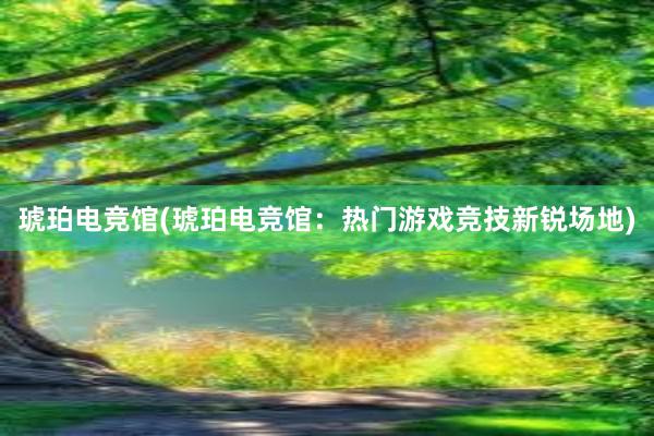 琥珀电竞馆(琥珀电竞馆：热门游戏竞技新锐场地)