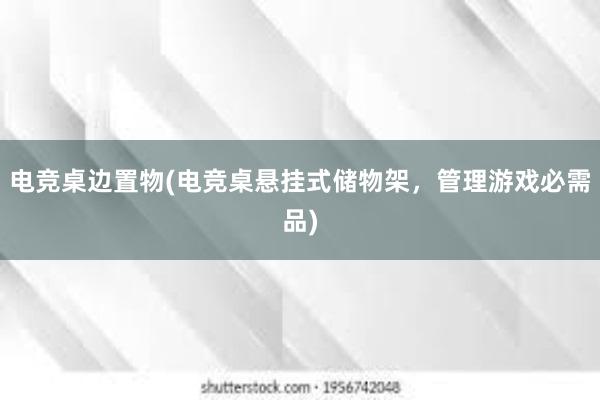 电竞桌边置物(电竞桌悬挂式储物架，管理游戏必需品)