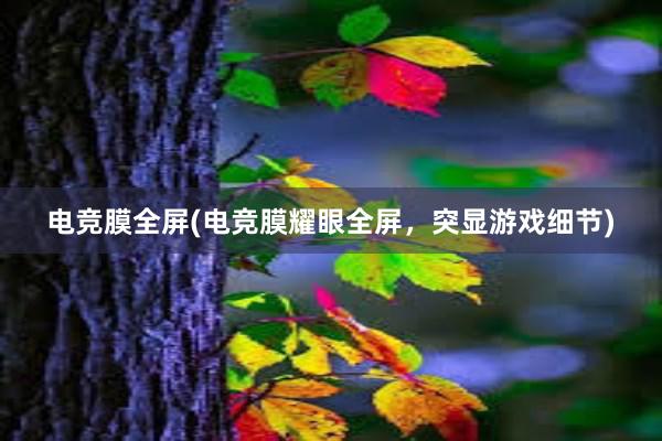 电竞膜全屏(电竞膜耀眼全屏，突显游戏细节)