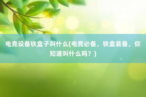 电竞设备铁盒子叫什么(电竞必备，铁盒装备，你知道叫什么吗？)