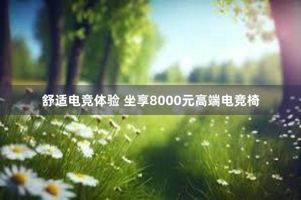 舒适电竞体验 坐享8000元高端电竞椅