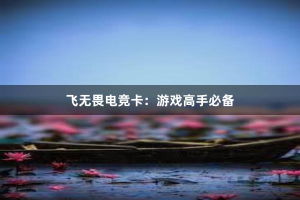 飞无畏电竞卡：游戏高手必备