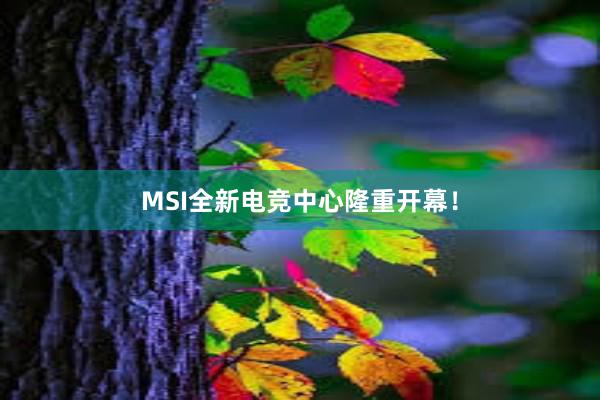 MSI全新电竞中心隆重开幕！