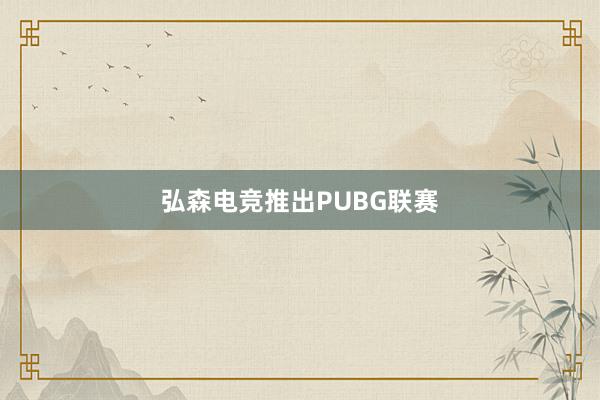 弘森电竞推出PUBG联赛