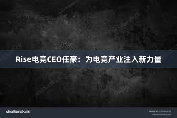 Rise电竞CEO任豪：为电竞产业注入新力量