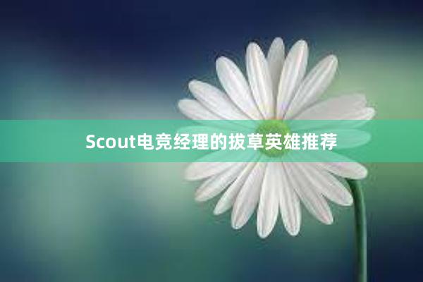 Scout电竞经理的拔草英雄推荐