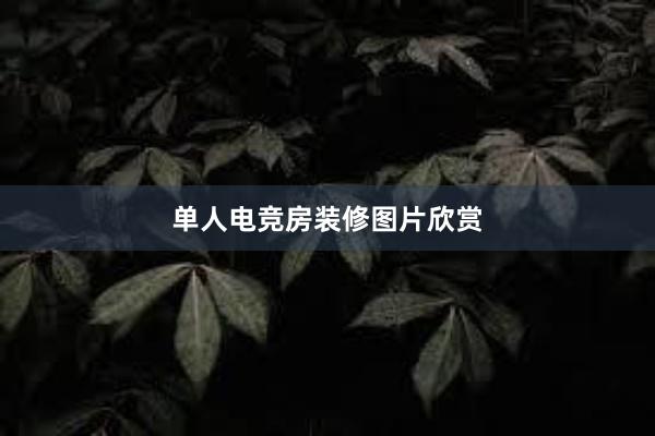 单人电竞房装修图片欣赏