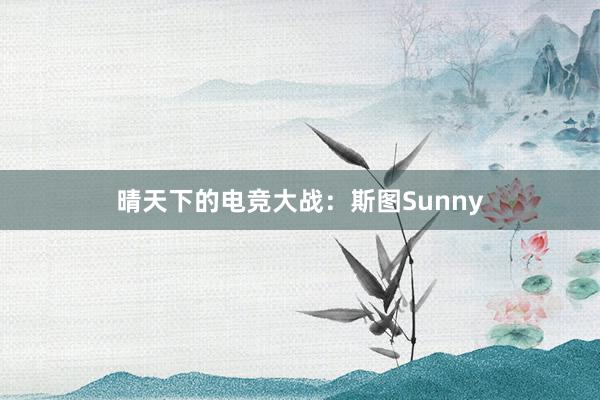 晴天下的电竞大战：斯图Sunny