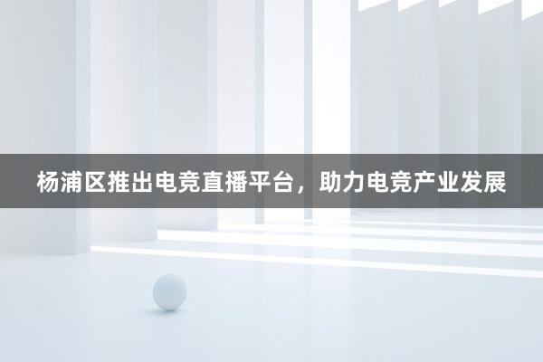 杨浦区推出电竞直播平台，助力电竞产业发展