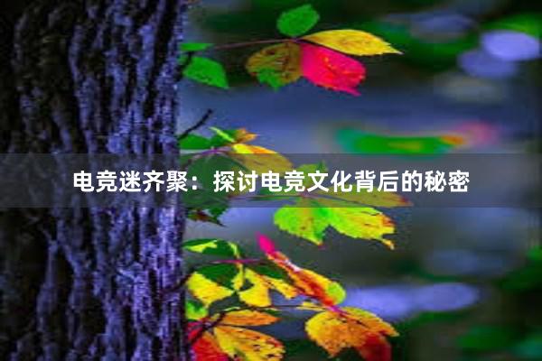 电竞迷齐聚：探讨电竞文化背后的秘密