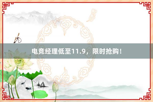 电竞经理低至11.9，限时抢购！