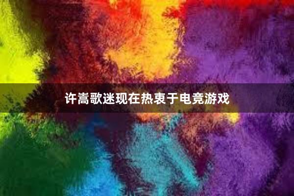 许嵩歌迷现在热衷于电竞游戏