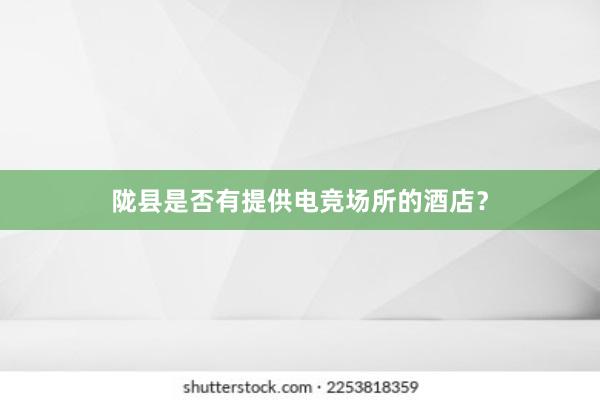 陇县是否有提供电竞场所的酒店？